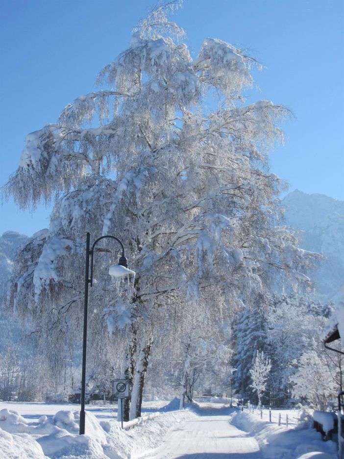 Straße hinterm Haus im Winter