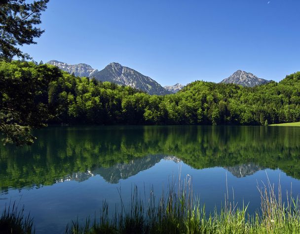 Am Alatsee bei Füssen im Allgäu