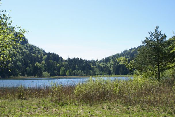 Heilklimawanderung: Alpsee und Schwansee