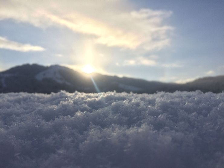 Schnee-Kristalle in Balderschwang