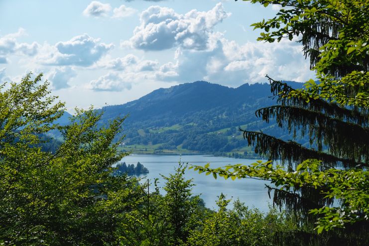 Blick zum Großen Alpsee von der Ruine Hugofels