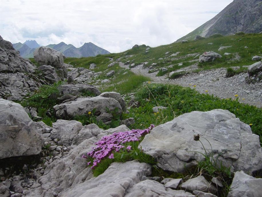 Klettersteig