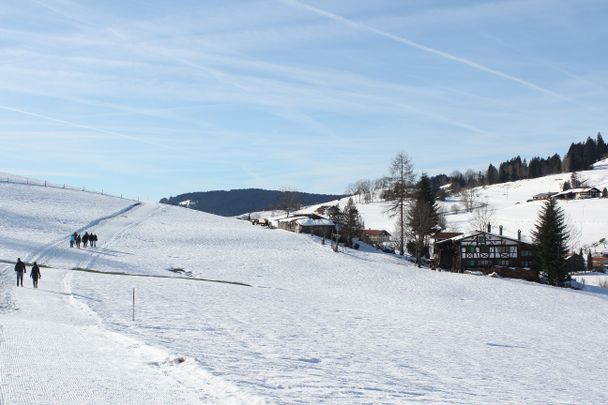 Gewalzte Trasse Richtung Saneberg