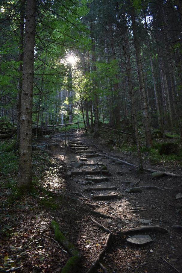 Von Gunzesried übers Ostertaltobel aufs Ofterschwanger Horn