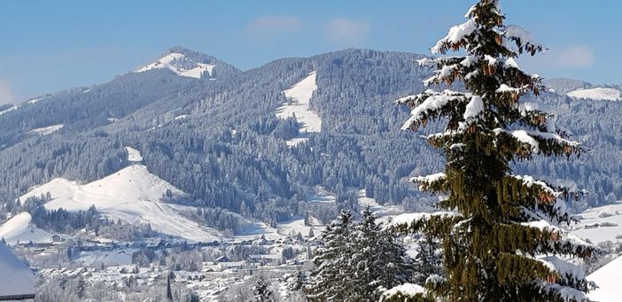 Blick vom Balkon  auf den Edelsberg