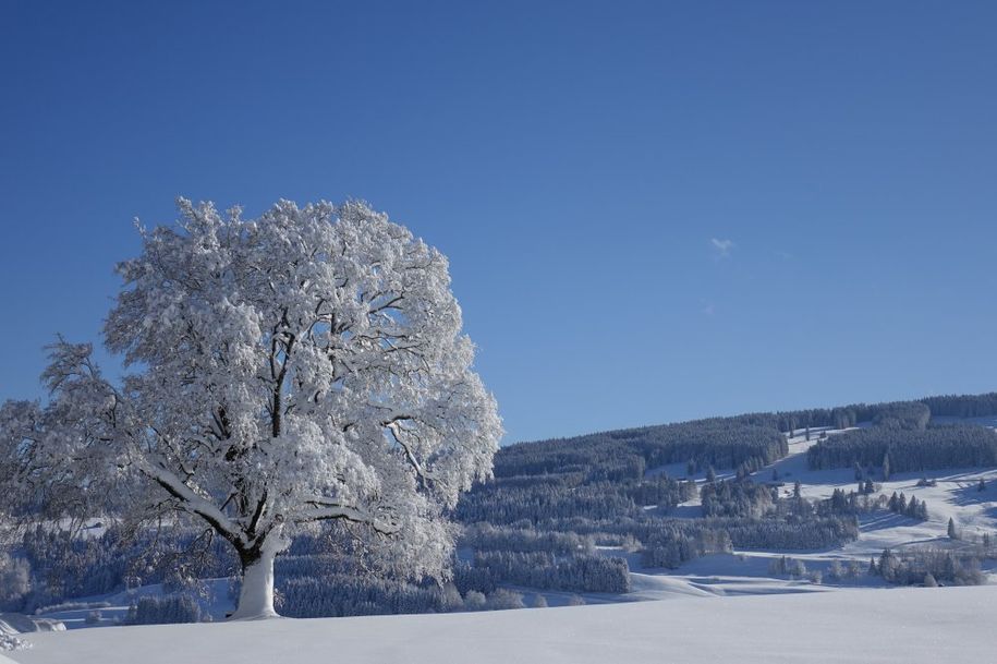 AUSBLICK VON DER FEWO