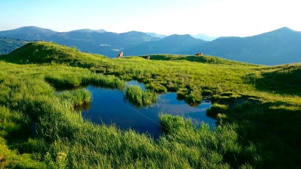 Piesenkopf bei Balderschwang