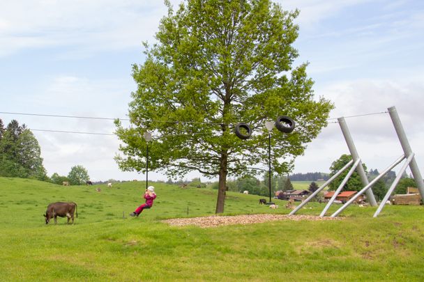 Spielplatz Zipline - Roßhaupten - Amanda Linder