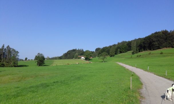 Straße Richtung Oberlangegg