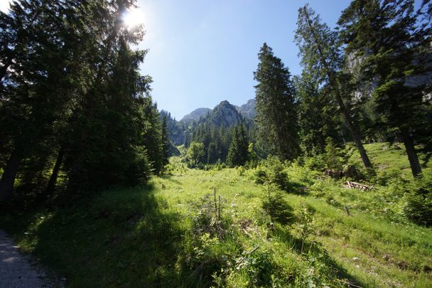 Blick in die Wiesen