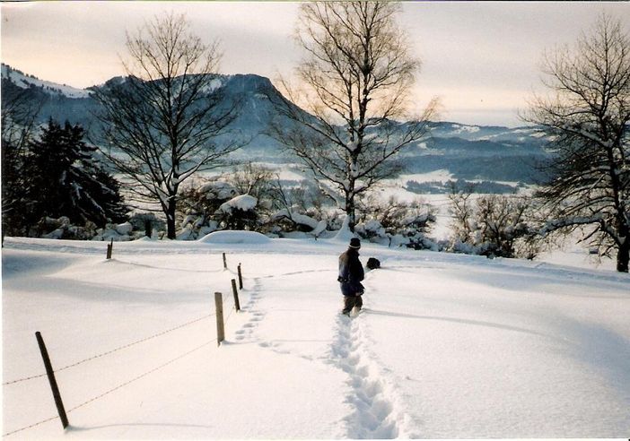 Winterwanderung zur Alpe I