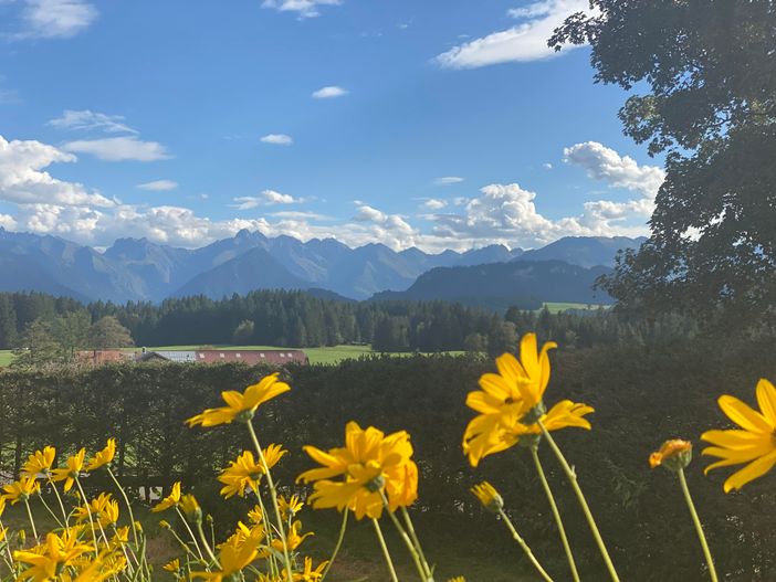 Ausblick Garten