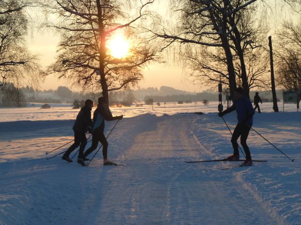 Sonnenuntergang über der Moorebene