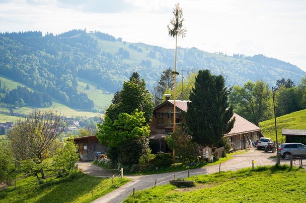 Alpe Schneidberg