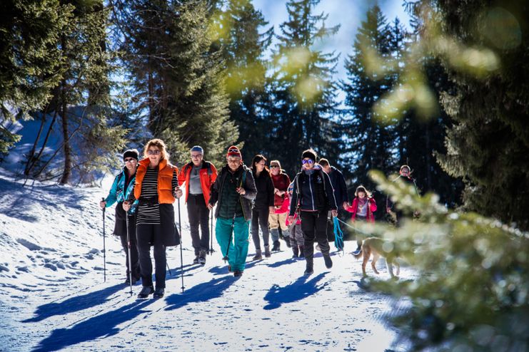 Winterführung mit dem Alpinium