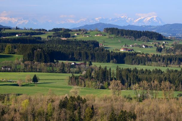 Voralpenlandschaft bei Isny. Ein Ausblick, wie er sich von Iberg und Riedholzer Kugel bietet.