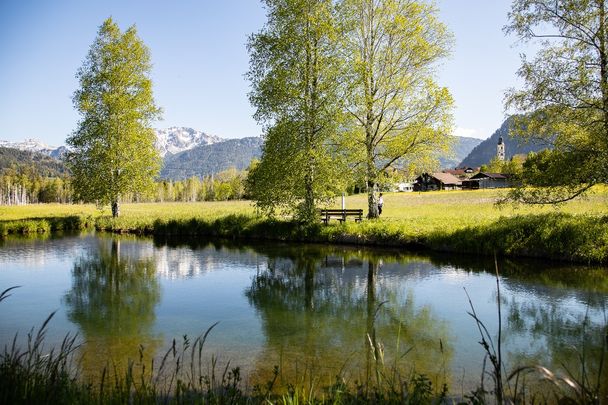 Weiher am Pfrontener Moorfpad