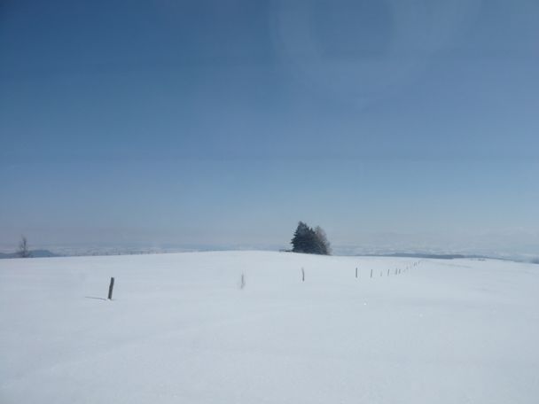 Winterlandschaft an der Loipe Eschach (3)