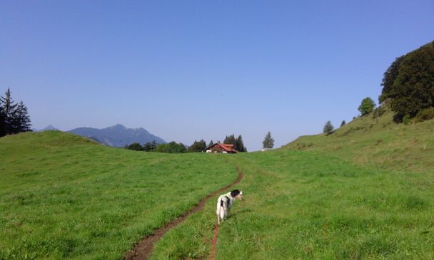 Alpe Beichelstein