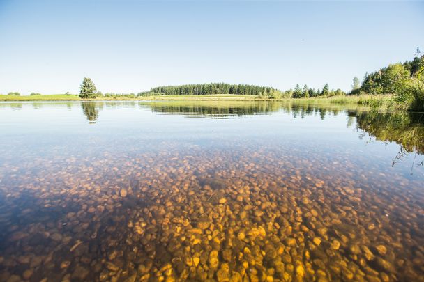 Kuhstallweiher in Marktoberdorf