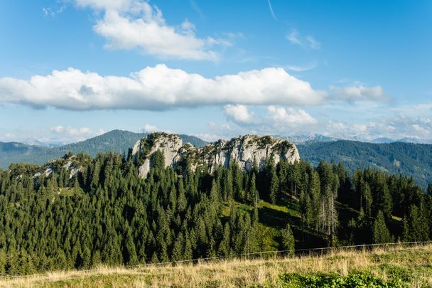 BierGenussWanderweg - Route 5 "Von Kranzegg auf den Grüntengrat"