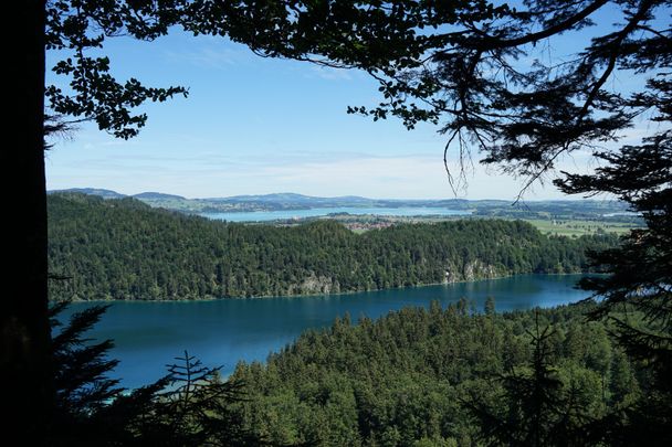 Alpsee- im Hintergrund der Forggensee