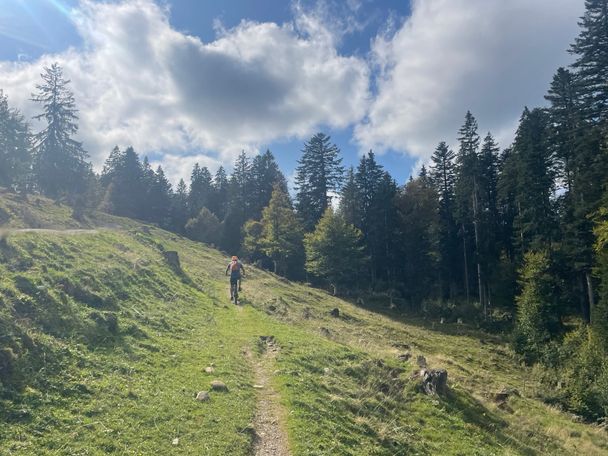 Kurze Trailpassage unterhalb des Eineguntkopfes