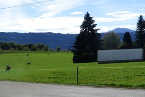 Mitten im schönen Allgäu