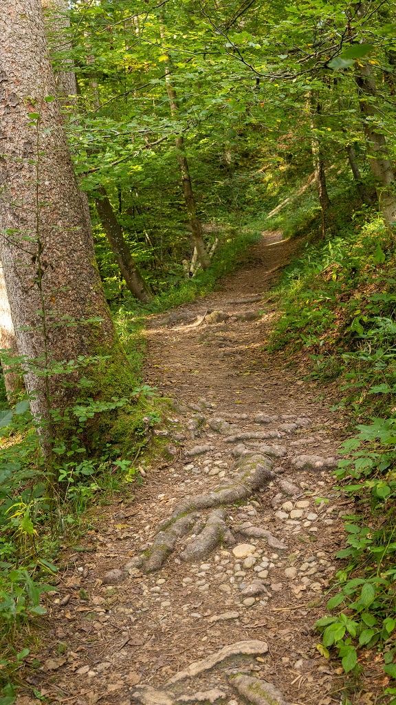 Weg durch den Kalbsangsttobel