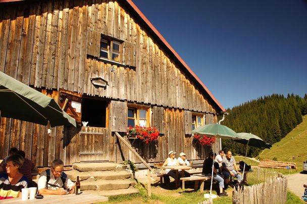 Fahnengehren Alpe in Ofterschwang im Allgäu