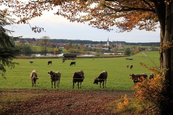 Blick auf die Walder Weiher