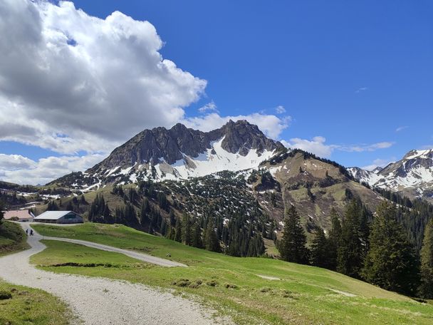 2025 SEEN-LAUF Tannheimer Tal - 3 Hütten-Trail (S)