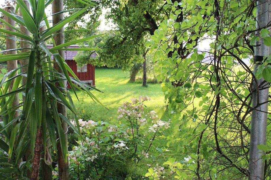 Ferienwohnung Rupp Allgäu