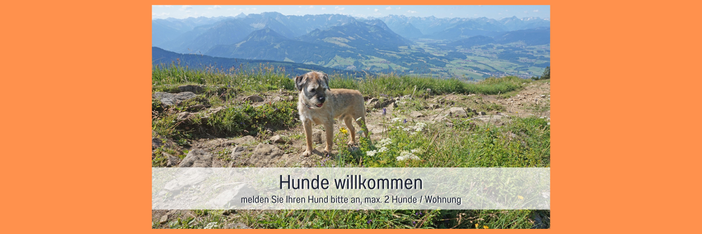 Biohof Burger Hunde willkommen