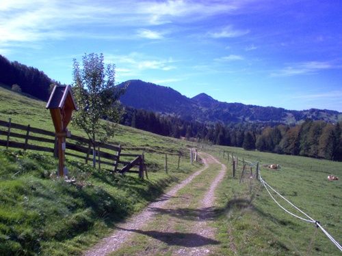 Das Hochtal bei der Sonnhalde.