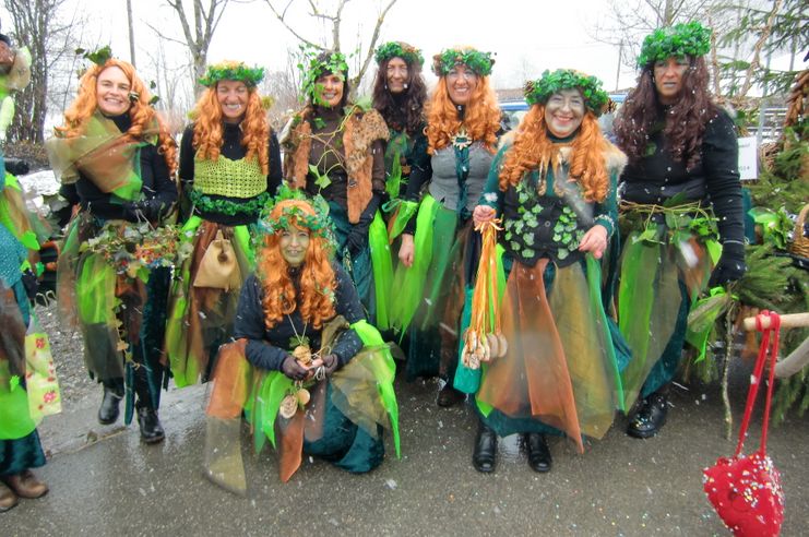 Fasching 2014_Waldfeen