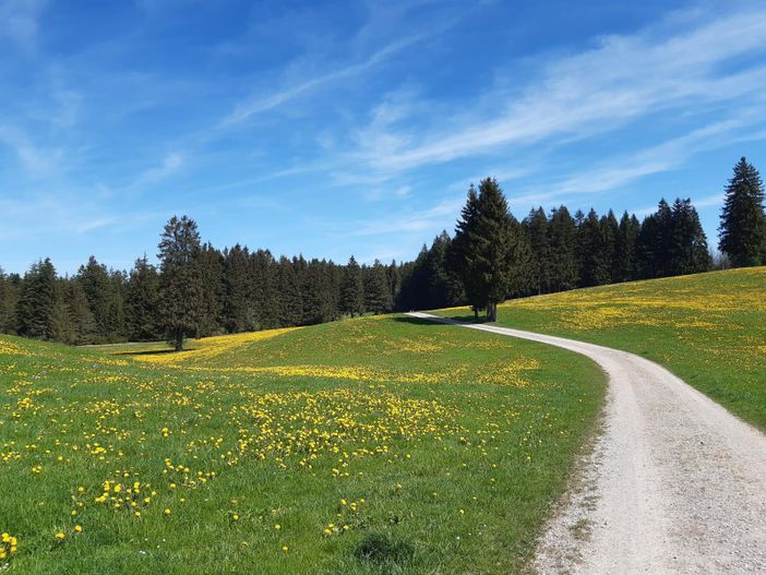 Wanderweg