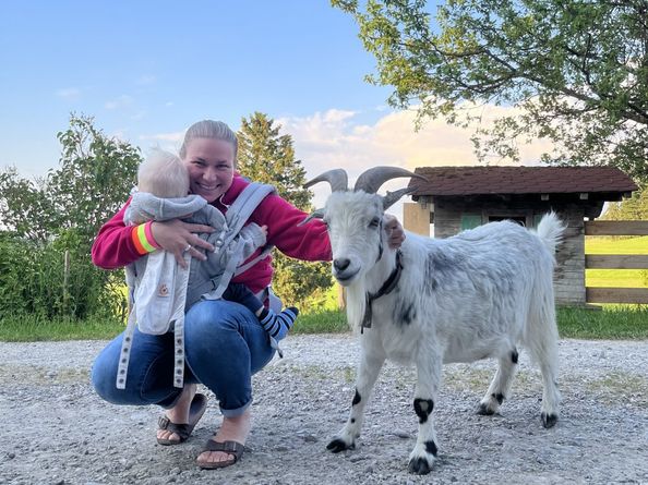 Streicheleinheit für Ziege Heino