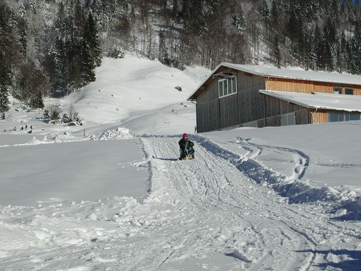 Rodeln Obere Socher Alpe in Balderschwang