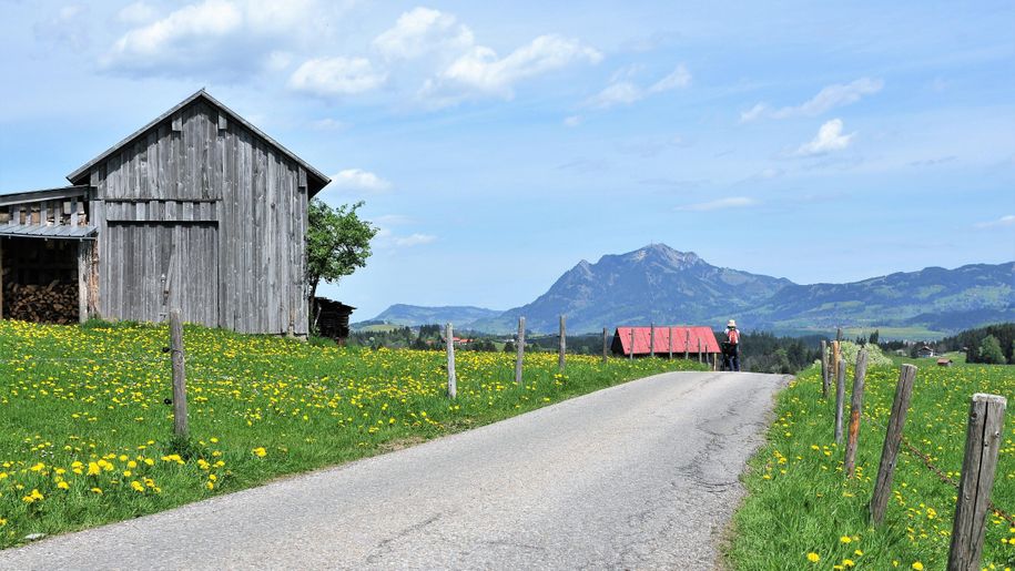 Haus Alpenblick - Umgebung Stadel