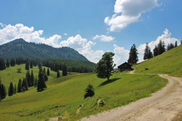 Weg zur Bärenmoosalpe - für Wanderer oder Mountainbiker