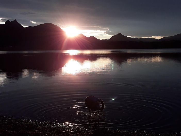 Königlicher Sonnenuntergang