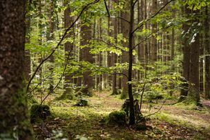 Tourismus Hörnerdörfer, F. Kjer