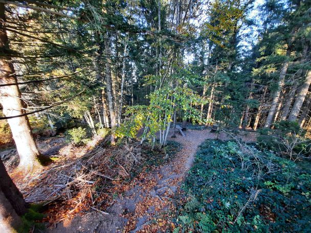 Riedholzer Kugel Kletterwald Spielplatz