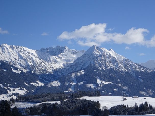 Blick auf die Allgäuer Alpen