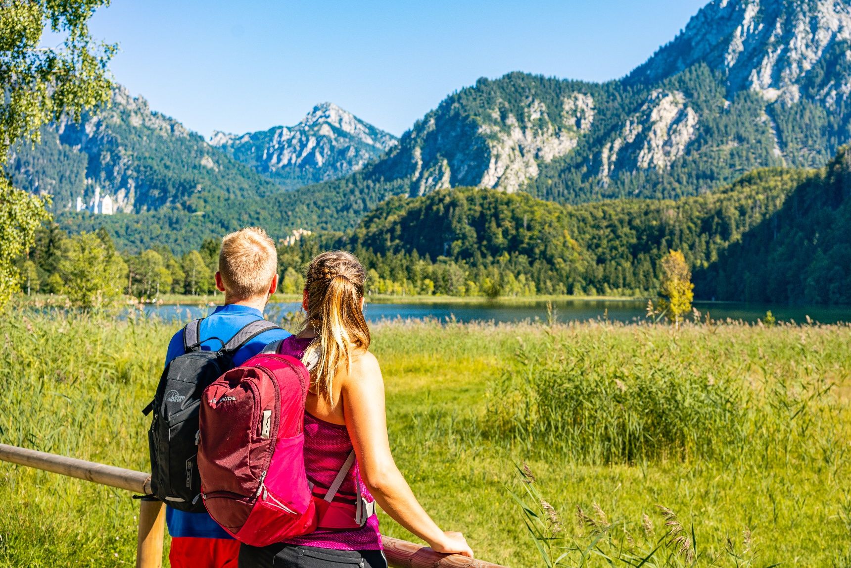 around-the-lake-schwansee-swan-lake-in-the-schwansee-park-allg-u