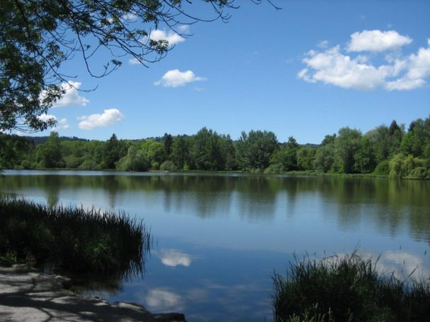 Kemptner Stadtweiher