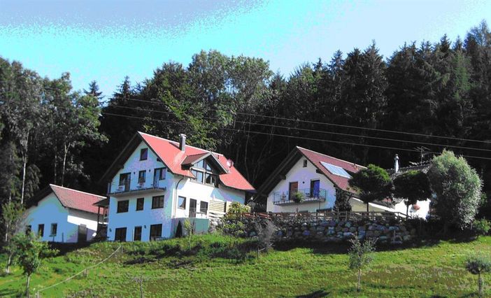 Gästehaus Grüner Baum "Kongo"