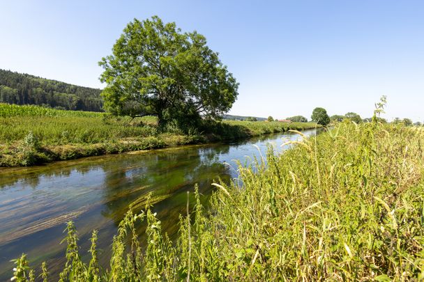 Mindel_bei_Ursberg