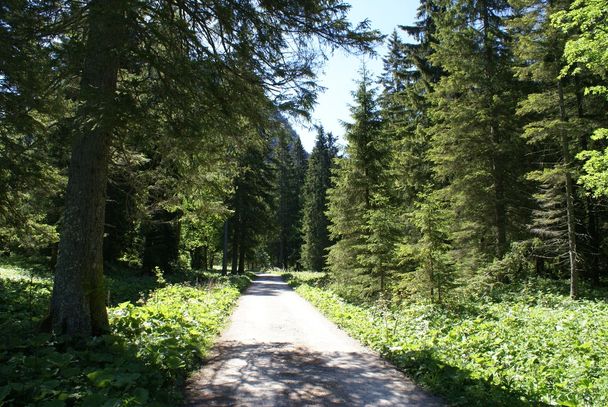 Zur Jägerhütte von Hohenschwangau